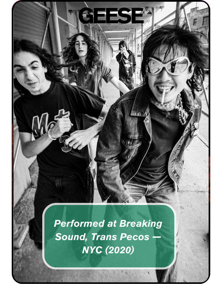 Geese, Breaking Sound alumni